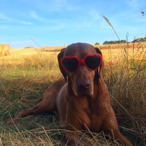 Meet your Posher, Alyx